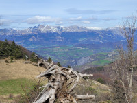 La Souche et le Vercors au loin